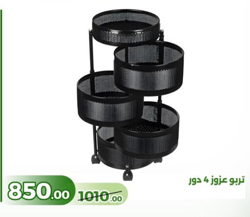 available at Green Tree Hypermarket - Sohag in Egypt - Cairo