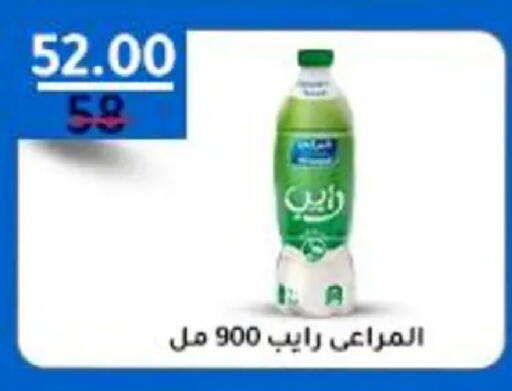 available at وكالة المنصورة - الدقهلية‎ in Egypt - القاهرة