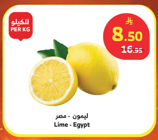 from Egypt available at Al Raya in KSA, Saudi Arabia, Saudi - Mecca