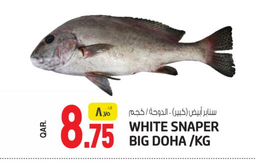 available at Saudia Hypermarket in Qatar - Al Shamal