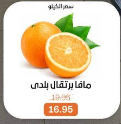 available at بيت الجملة in Egypt - القاهرة