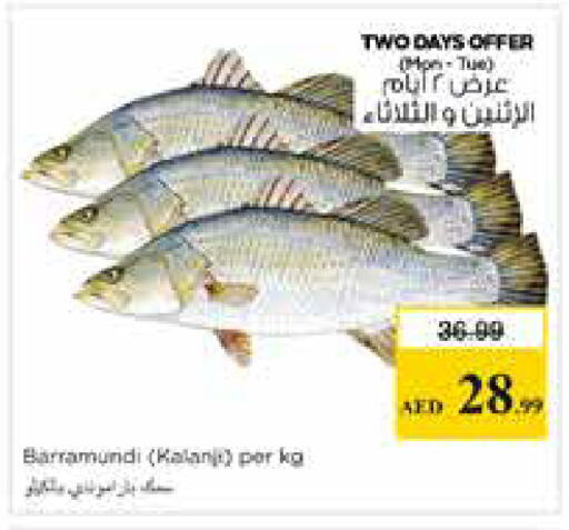 available at نستو هايبرماركت in الإمارات العربية المتحدة , الامارات - الشارقة / عجمان