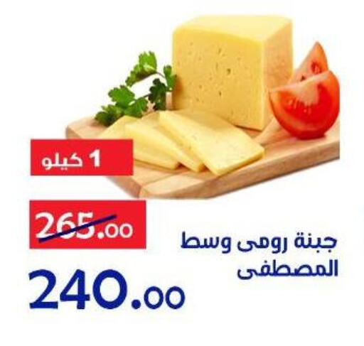 available at الدنيا بخير in Egypt - القاهرة