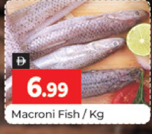 available at المدينة in الإمارات العربية المتحدة , الامارات - دبي