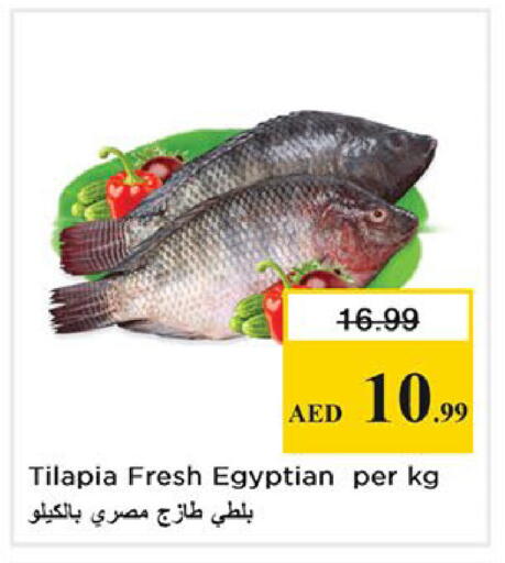 available at نستو هايبرماركت in الإمارات العربية المتحدة , الامارات - أبو ظبي