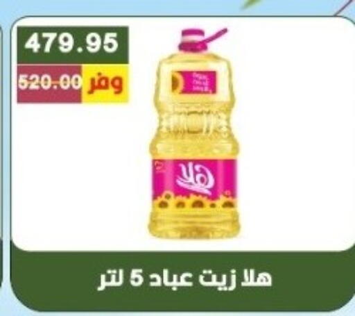 available at بشاير هايبرماركت in Egypt - القاهرة