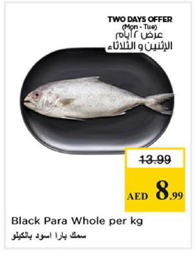 available at نستو هايبرماركت in الإمارات العربية المتحدة , الامارات - الشارقة / عجمان