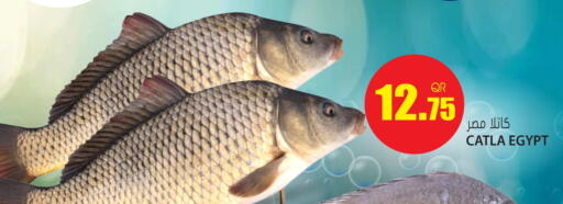 available at جراند هايبرماركت in قطر - أم صلال