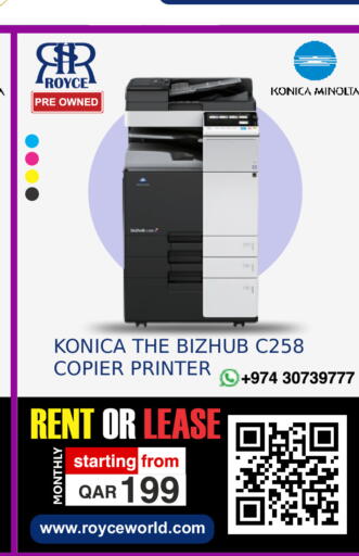 available at رويس العالمية للتجارة والخدمات in قطر - الوكرة