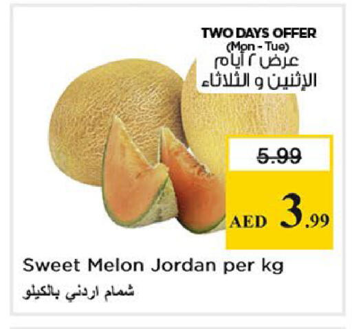 Melon from Jordan available at نستو هايبرماركت in الإمارات العربية المتحدة , الامارات - أبو ظبي
