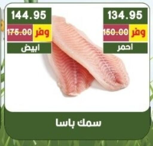 available at Bashayer hypermarket in Egypt - Cairo
