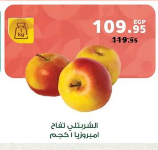 available at بنده in Egypt - القاهرة