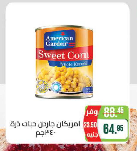 available at سعودي سوبرماركت in Egypt - القاهرة