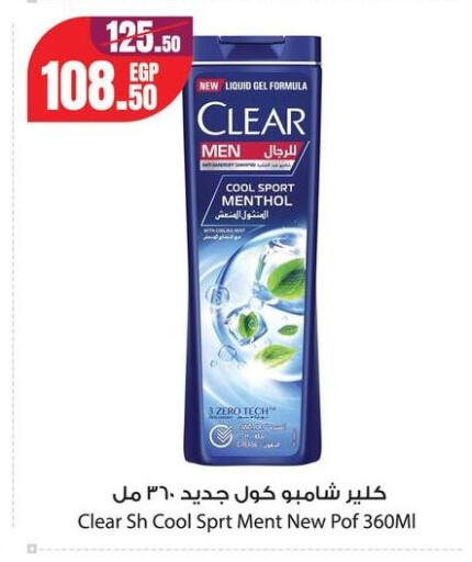 Mint available at Géant Egypt in Egypt - Cairo