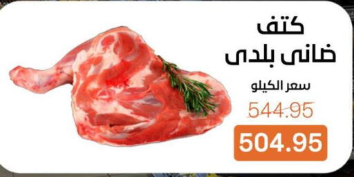 available at بيت الجملة in Egypt - القاهرة