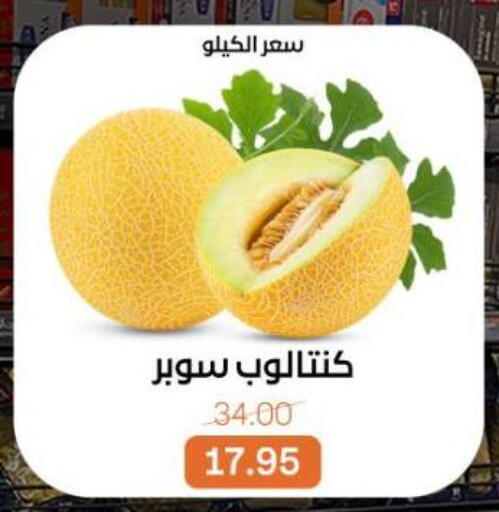 available at بيت الجملة in Egypt - القاهرة