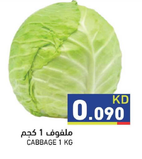 Cabbage available at  رامز in الكويت - محافظة الجهراء