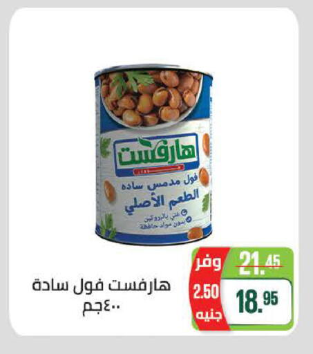 available at سعودي سوبرماركت in Egypt - القاهرة