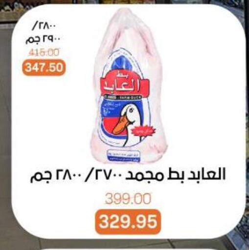 available at بيت الجملة in Egypt - القاهرة