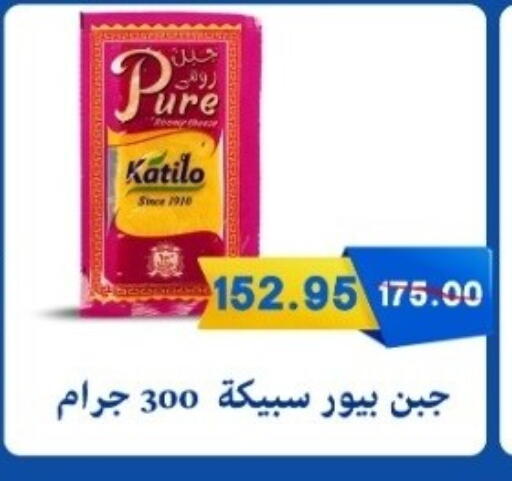 available at بشاير هايبرماركت in Egypt - القاهرة