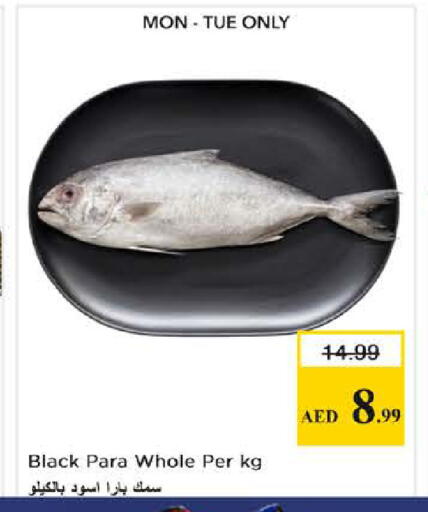 available at نستو هايبرماركت in الإمارات العربية المتحدة , الامارات - الشارقة / عجمان