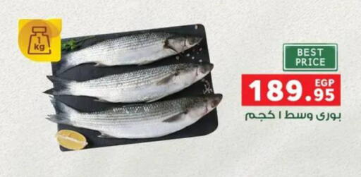 available at بنده in Egypt - القاهرة