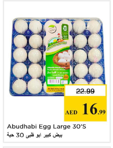 available at نستو هايبرماركت in الإمارات العربية المتحدة , الامارات - دبي