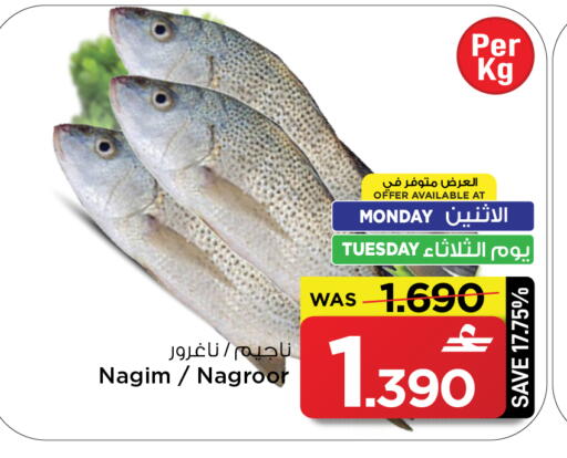 available at MARK & SAVE in Oman - Sohar