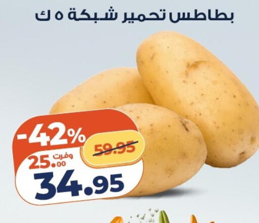 available at كازيون in Egypt - القاهرة