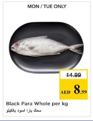 available at نستو هايبرماركت in الإمارات العربية المتحدة , الامارات - الشارقة / عجمان