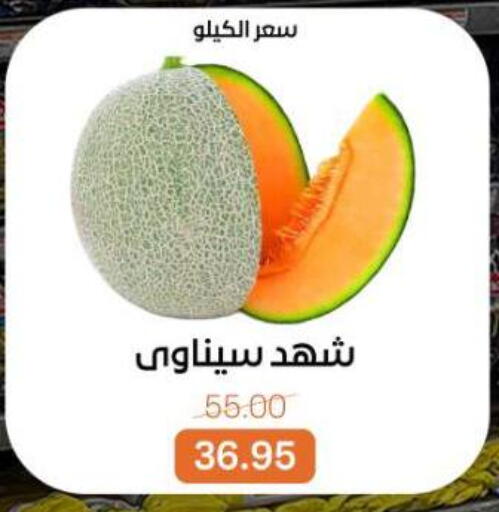 available at بيت الجملة in Egypt - القاهرة