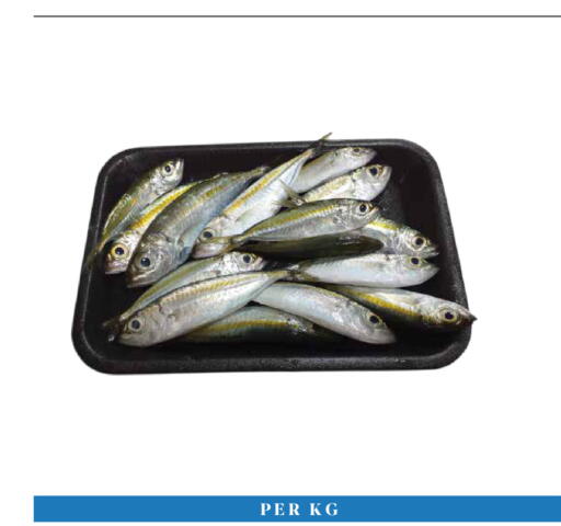 available at Trolleys Supermarket in UAE - Dubai