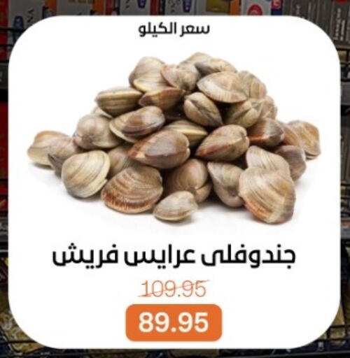 available at بيت الجملة in Egypt - القاهرة