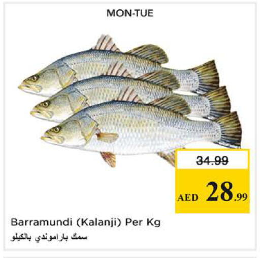 available at Nesto Hypermarket in UAE - Dubai