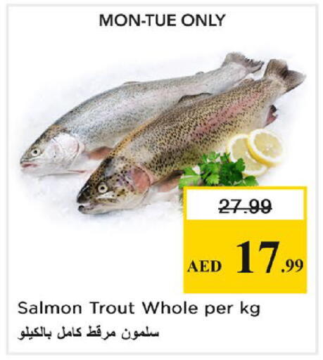 available at نستو هايبرماركت in الإمارات العربية المتحدة , الامارات - رَأْس ٱلْخَيْمَة