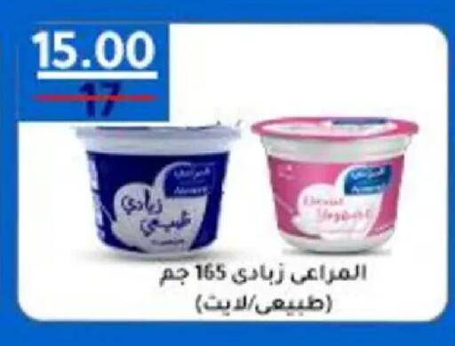 available at وكالة المنصورة - الدقهلية‎ in Egypt - القاهرة