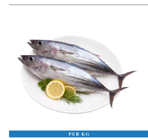 available at Trolleys Supermarket in UAE - Dubai