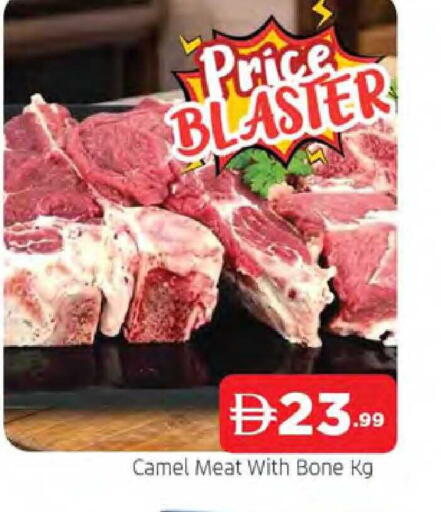 available at المدينة in الإمارات العربية المتحدة , الامارات - الشارقة / عجمان