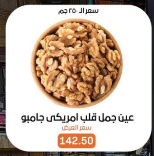 available at بيت الجملة in Egypt - القاهرة