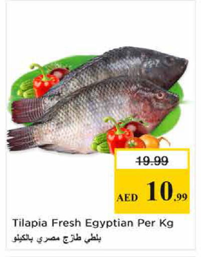 available at نستو هايبرماركت in الإمارات العربية المتحدة , الامارات - الشارقة / عجمان