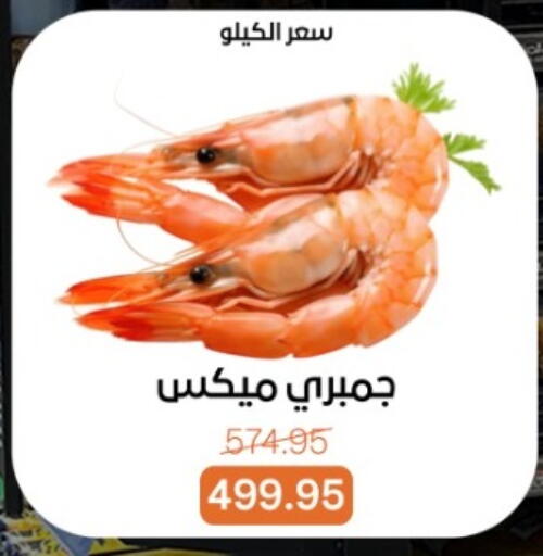 available at بيت الجملة in Egypt - القاهرة