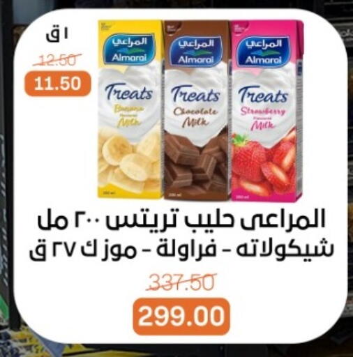 available at بيت الجملة in Egypt - القاهرة