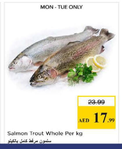 available at نستو هايبرماركت in الإمارات العربية المتحدة , الامارات - الشارقة / عجمان