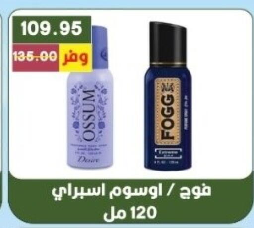 available at بشاير هايبرماركت in Egypt - القاهرة