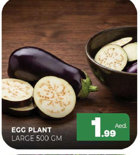 available at Al Madina  in UAE - Sharjah / Ajman