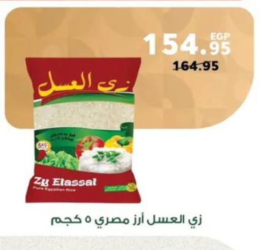 available at بنده in Egypt - القاهرة