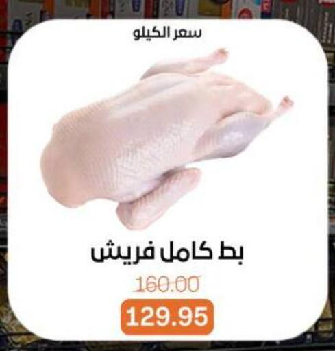 available at بيت الجملة in Egypt - القاهرة