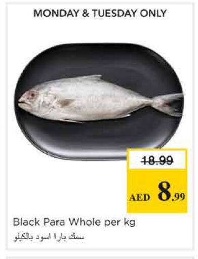 available at نستو هايبرماركت in الإمارات العربية المتحدة , الامارات - الشارقة / عجمان