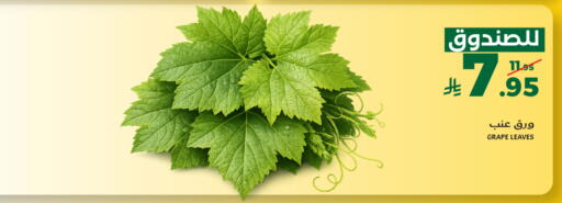 available at Mira Mart Mall in KSA, Saudi Arabia, Saudi - Jeddah