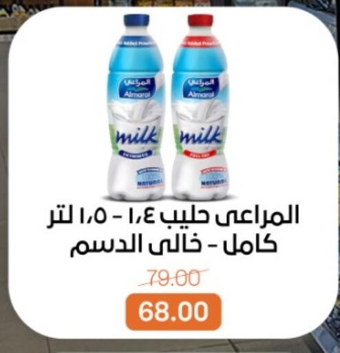 available at بيت الجملة in Egypt - القاهرة